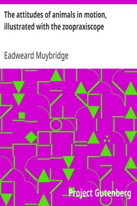 The attitudes of animals in motion, illustrated with the zoopraxiscope by Eadweard Muybridge