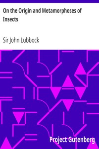 On the Origin and Metamorphoses of Insects by John Lubbock
