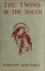 The Twins in the South by Dorothy Whitehill