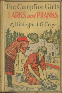 The Camp Fire Girls' Larks and Pranks; Or, The House of the Open Door by Hildegard G. Frey