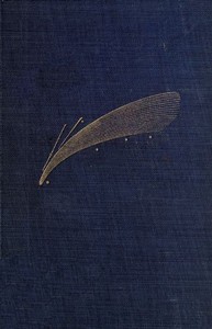 Astronomical Curiosities: Facts and Fallacies by J. Ellard (John Ellard) Gore