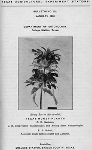 Texas Honey Plants by Charles Emerson Sanborn