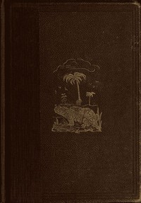 The World Before the Deluge by Louis Figuier