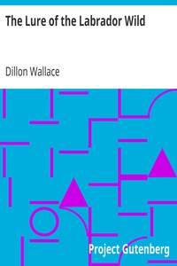 The Lure of the Labrador Wild by Dillon Wallace