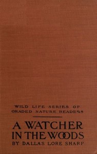 A Watcher in The Woods by Dallas Lore Sharp