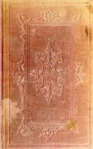 The Bunsby Papers (second series): Irish Echoes by John Brougham