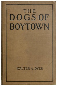 The Dogs of Boytown by Walter A. (Walter Alden) Dyer