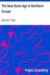 The New Stone Age in Northern Europe by John M. (John Mason) Tyler