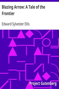Blazing Arrow: A Tale of the Frontier by Edward Sylvester Ellis