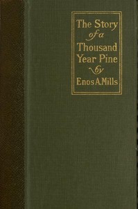 The Story of a Thousand-Year Pine by Enos A. Mills