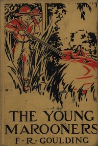 The Young Marooners on the Florida Coast by F. R. (Francis Robert) Goulding