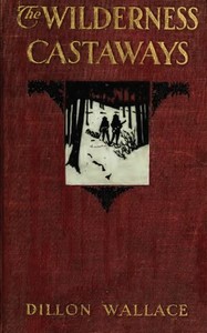 The Wilderness Castaways by Dillon Wallace