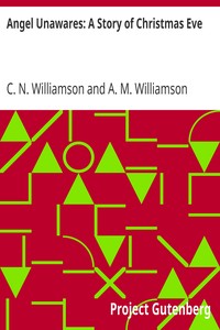 Angel Unawares: A Story of Christmas Eve by C. N. (Charles Norris) Williamson