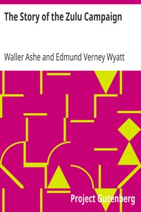 The Story of the Zulu Campaign by Waller Ashe