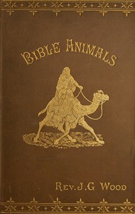 Bible animals : $b being a description of every living creature mentioned in the Scripture, from the ape to the coral. by J. G. (John George) Wood