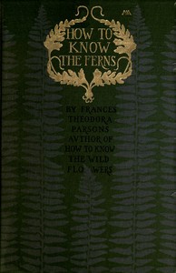 How to know the ferns : $b A guide to the names, haunts and habitats of our common ferns by Frances Theodora Parsons