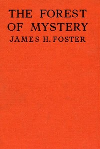 The Forest of Mystery by James H. Foster