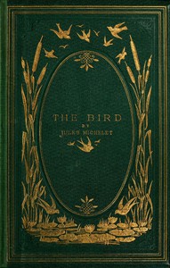 The Bird by Jules Michelet