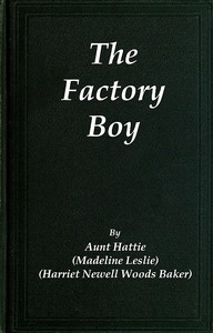The Factory Boy by Madeline Leslie