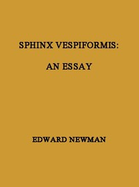 Sphinx Vespiformis: An Essay by Edward Newman