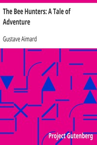 The Bee Hunters: A Tale of Adventure by Gustave Aimard