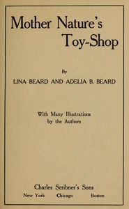 Mother Nature's Toy-Shop by Lina Beard