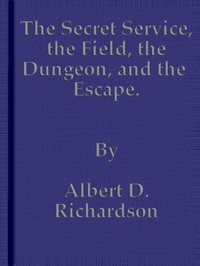 The Secret Service, the Field, the Dungeon, and the Escape by Albert D. (Albert Deane) Richardson