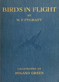Birds in Flight by W. P. (William Plane) Pycraft