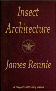 Insect Architecture by James Rennie