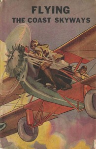 Flying the Coast Skyways; Or, Jack Ralston's Swift Patrol by Ambrose Newcomb
