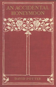 An Accidental Honeymoon by Edward Barron