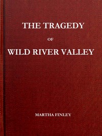 The Tragedy of Wild River Valley by Martha Finley