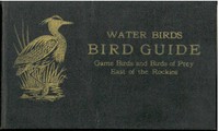 Bird Guide: Water Birds, Game Birds, and Birds of Prey East of the Rockies by Chester A. (Chester Albert) Reed
