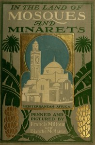 In the Land of Mosques & Minarets by M. F. (Milburg Francisco) Mansfield