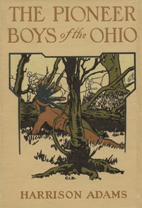 The Pioneer Boys of the Ohio; or, Clearing the Wilderness by St. George Rathborne