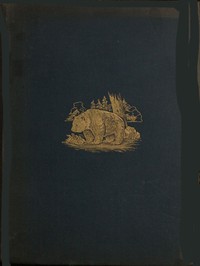 The Romance of the Woods by Frederick Whishaw