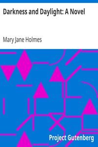 Darkness and Daylight: A Novel by Mary Jane Holmes