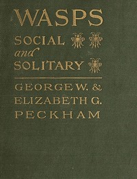 Wasps, Social and Solitary by George W. (George Williams) Peckham