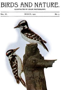 Birds and Nature Vol. 11 No. 3 [March 1902]
Illustrated by Color Photography by Various