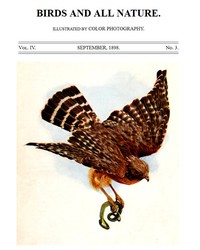 Birds and All Nature, Vol. 4, No. 3, September 1898
Illustrated by Color Photography by Various