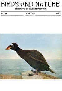 Birds and Nature Vol. 09 No. 5 [May 1901]
Illustrated by Color Photography by Various