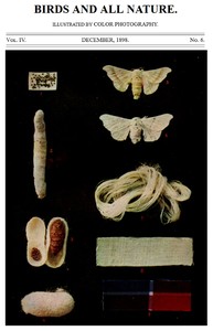 Birds and All Nature, Vol. 4, No. 6, December 1898
Illustrated by Color Photography by Various