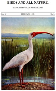 Birds and All Nature, Vol. 5, No. 2, February 1899
Illustrated by Color Photography by Various