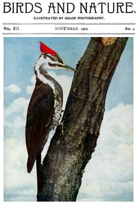 Birds and Nature, Vol. 12 No. 4 [September 1902]
Illustrated by Color Photography by Various