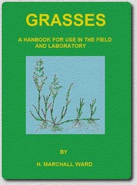 Grasses : $b A handbook for use in the field and laboratory by H. Marshall (Harry Marshall) Ward