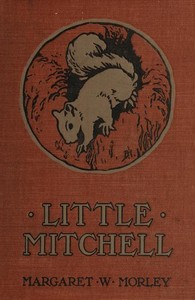 Little Mitchell: The Story of a Mountain Squirrel by Margaret Warner Morley