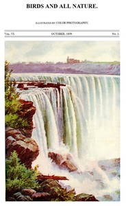 Birds and All Nature, Vol. 6, No. 3, October 1899
Illustrated by Color Photography by Various