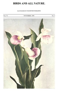 Birds and All Nature, Vol. 6, No. 4, November 1899
In Natural Colors by Various