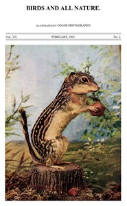 Birds and All Nature, Vol 7, No. 2, February 1900
Illustrated by Color Photography by Various