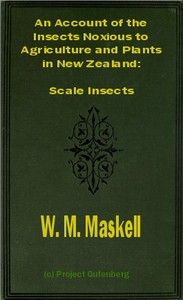 An Account of the Insects Noxious to Agriculture and Plants in New Zealand
The Scale Insects (Coccididae) by William Miles Maskell